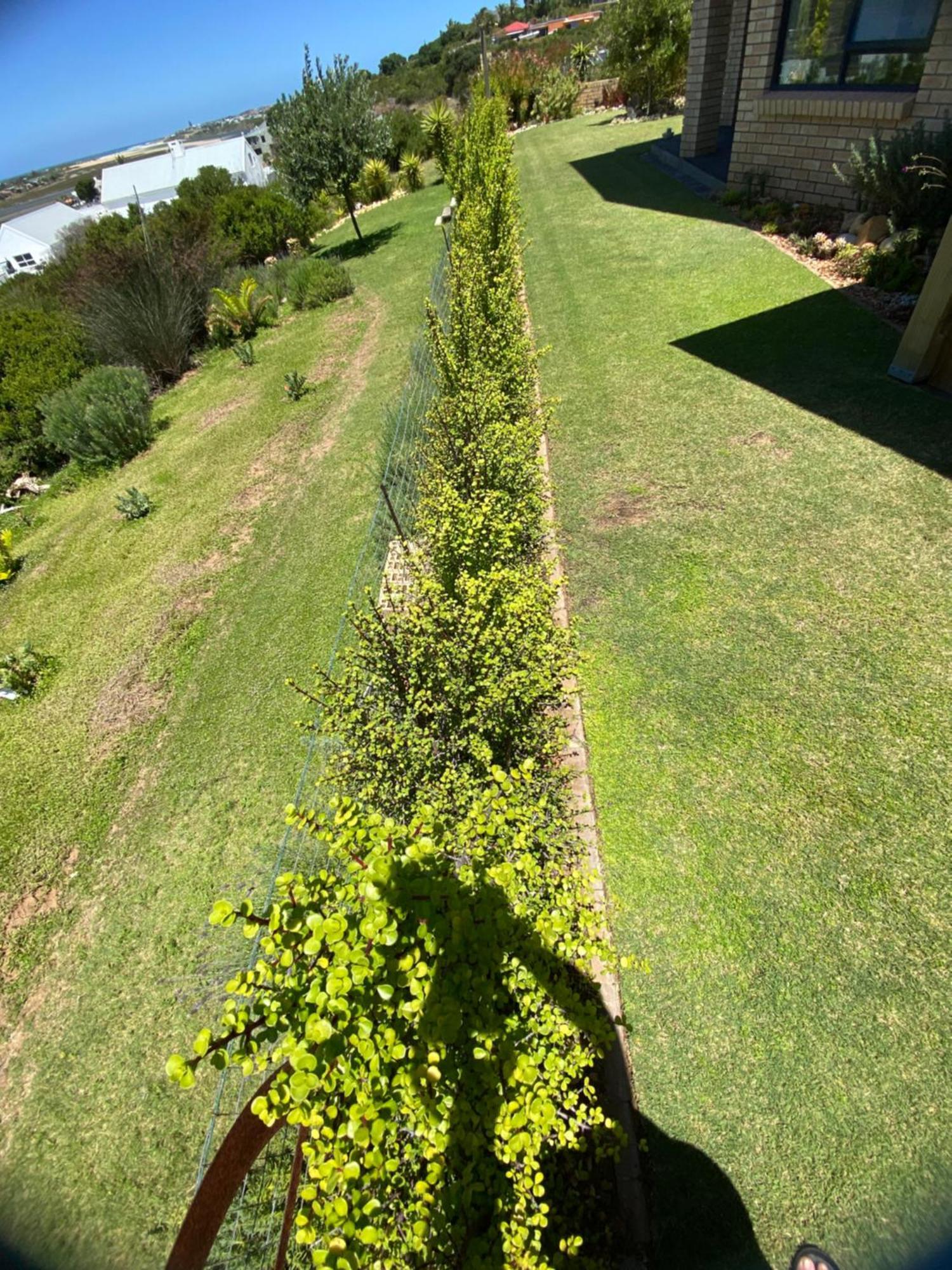 River Daze Stilbaai Exterior foto